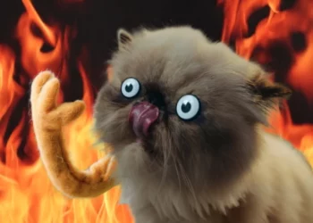 Mr Miggles mémcoin árfolyam emelkedés