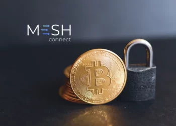 Mesh Network