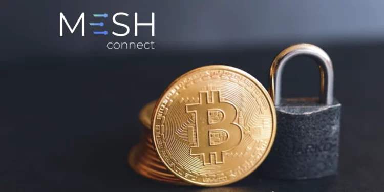 Mesh Network