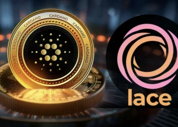 Cardano Lace Wallet fogalma és működés, Lace Wallet vélemények