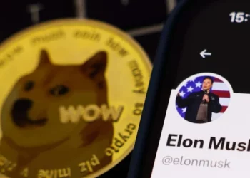 elen musk dogecoin