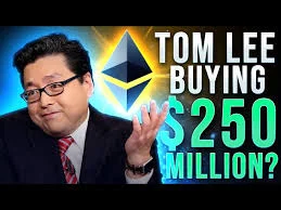 Tom Lee