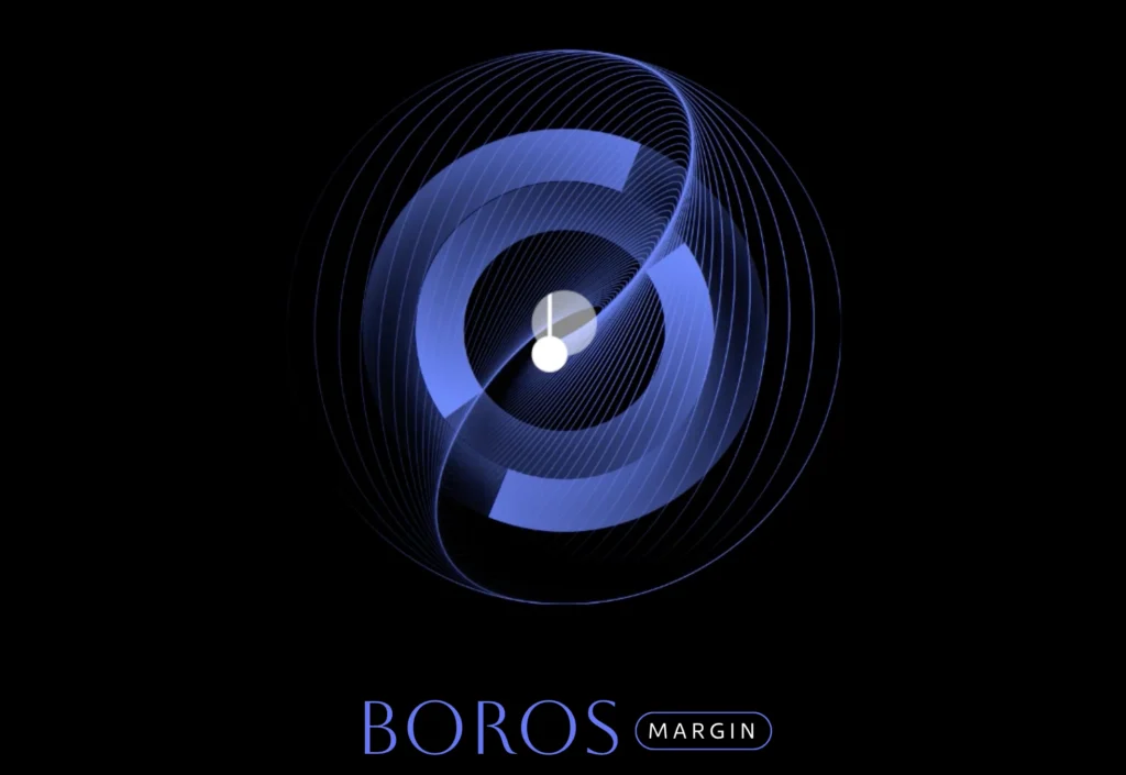 Boros DeFi platform