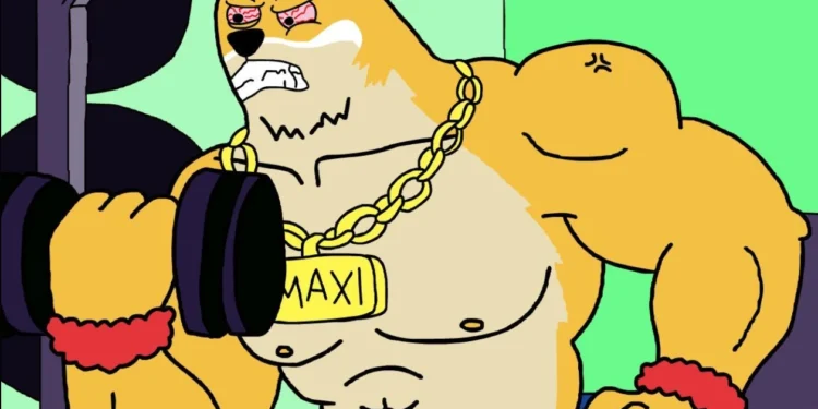 Maxi Doge kriptovaluta előértékesítés