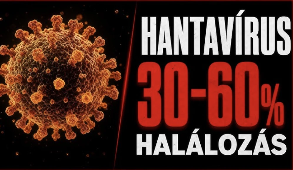 Hantavírus