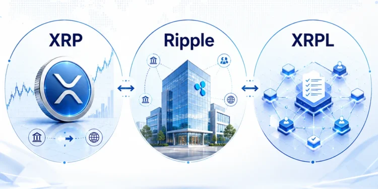 XRP, Ripple, XRPL