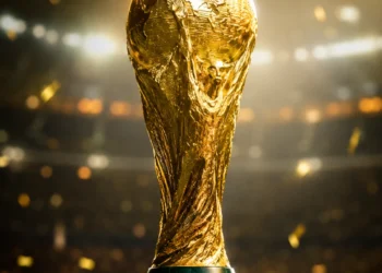FIFA vb labdarúgás