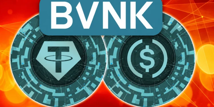 BVNK stabilcoinok