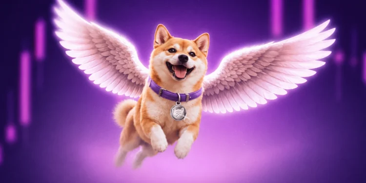 Shiba Inu emelkedik szárnyal